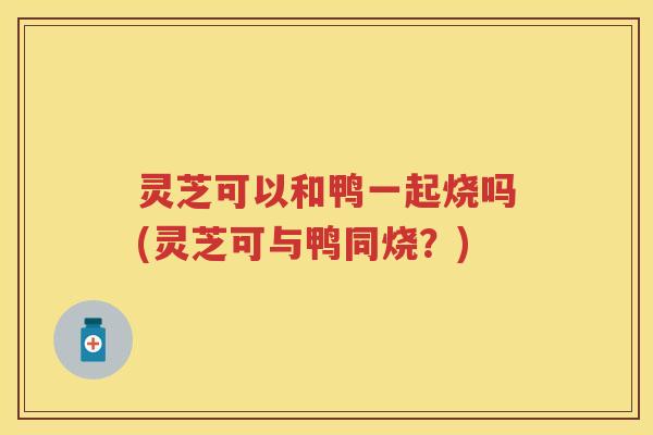 灵芝可以和鸭一起烧吗(灵芝可与鸭同烧？)