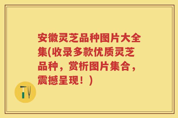 安徽灵芝品种图片大全集(收录多款优质灵芝品种,赏析图片集合,震撼呈现!) 安徽灵芝品种图片大全集(收录多款优质灵芝品种,赏析图片集合,震撼呈现!)
