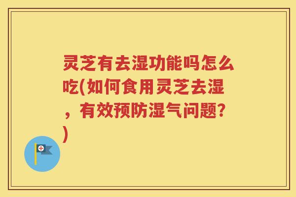 灵芝有去湿功能吗怎么吃(如何食用灵芝去湿，有效预防湿气问题？)