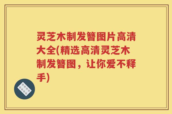 灵芝木制发簪图片高清大全(精选高清灵芝木制发簪图，让你爱不释手)