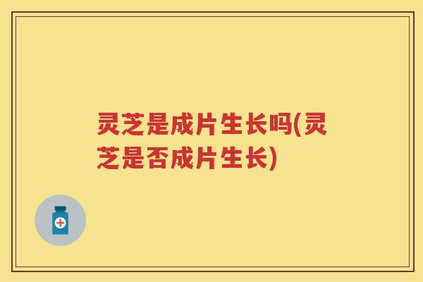 灵芝是成片生长吗(灵芝是否成片生长)