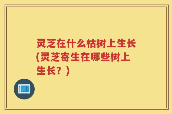 灵芝在什么枯树上生长(灵芝寄生在哪些树上生长？)