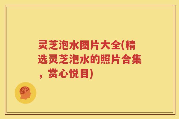 灵芝泡水图片大全(精选灵芝泡水的照片合集，赏心悦目)