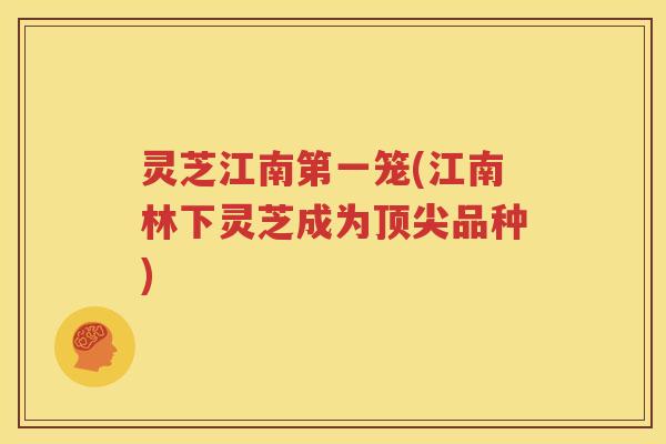 灵芝江南第一笼(江南林下灵芝成为顶尖品种)