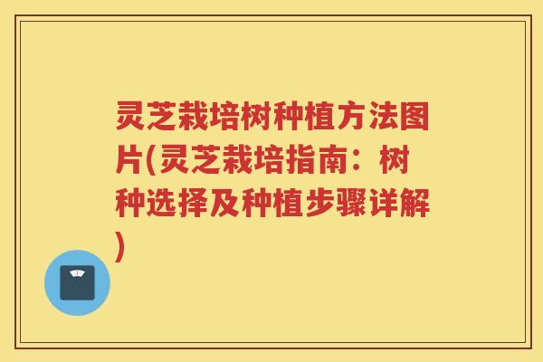 灵芝栽培树种植方法图片(灵芝栽培指南：树种选择及种植步骤详解)