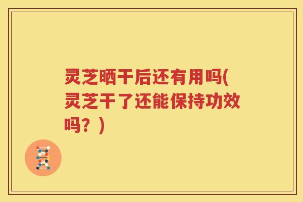 灵芝晒干后还有用吗(灵芝干了还能保持功效吗？)