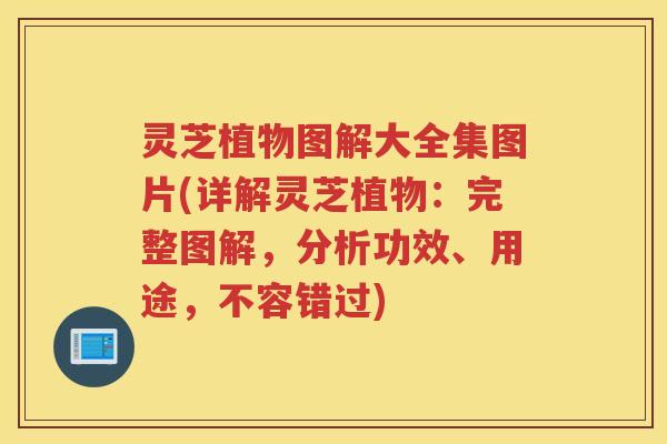 灵芝植物图解大全集图片(详解灵芝植物：完整图解，分析功效、用途，不容错过)