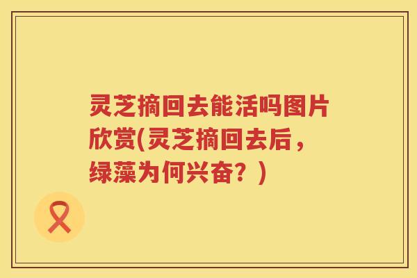 灵芝摘回去能活吗图片欣赏(灵芝摘回去后，绿藻为何兴奋？)