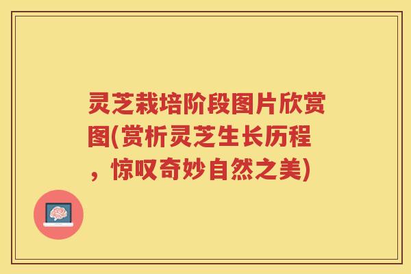 灵芝栽培阶段图片欣赏图(赏析灵芝生长历程，惊叹奇妙自然之美)