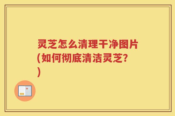 灵芝怎么清理干净图片(如何彻底清洁灵芝？)