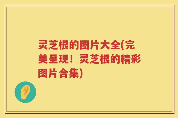 灵芝根的图片大全(完美呈现！灵芝根的精彩图片合集)