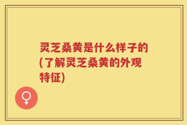灵芝桑黄是什么样子的(了解灵芝桑黄的外观特征) 灵芝桑黄是什么样子的(了解灵芝桑黄的外观特征)
