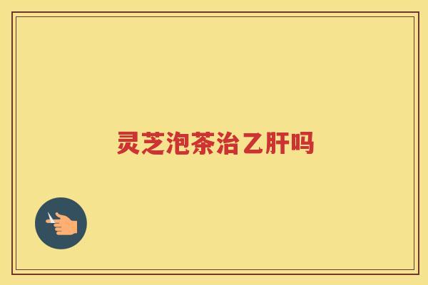 灵芝泡茶吗