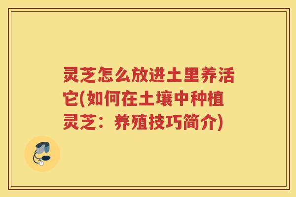 灵芝怎么放进土里养活它(如何在土壤中种植灵芝：养殖技巧简介)