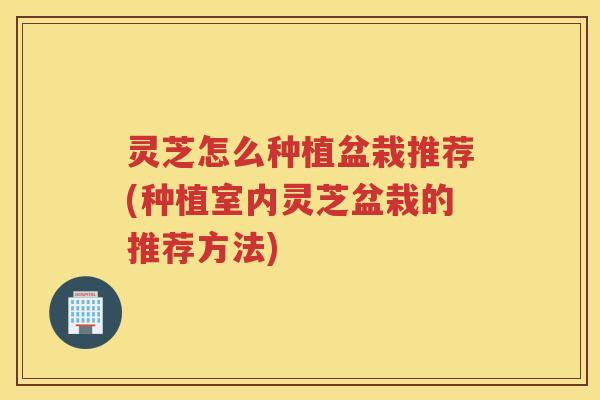 灵芝怎么种植盆栽推荐(种植室内灵芝盆栽的推荐方法)