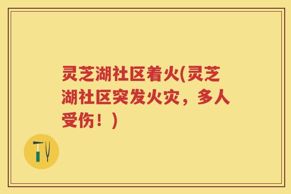 灵芝湖社区着火(灵芝湖社区突发火灾，多人受伤！)