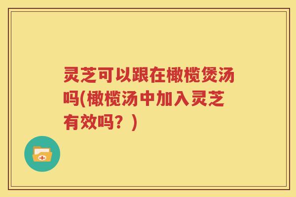 灵芝可以跟在橄榄煲汤吗(橄榄汤中加入灵芝有效吗？)