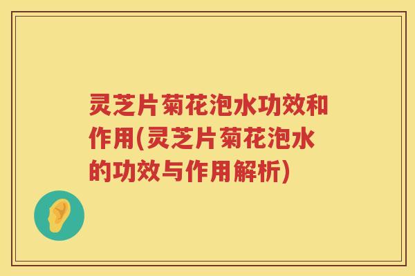 灵芝片菊花泡水功效和作用(灵芝片菊花泡水的功效与作用解析)