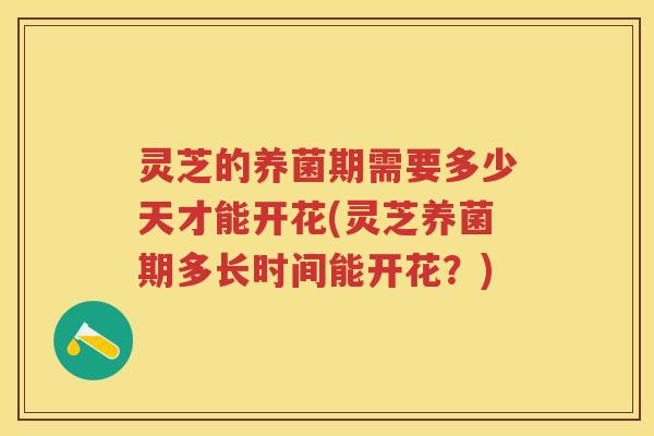 灵芝的养菌期需要多少天才能开花(灵芝养菌期多长时间能开花？)
