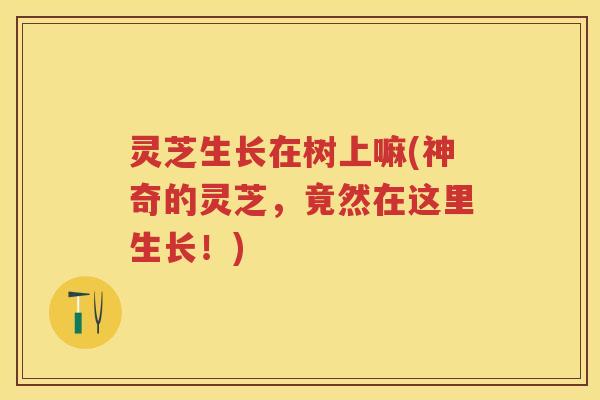 灵芝生长在树上嘛(神奇的灵芝，竟然在这里生长！)