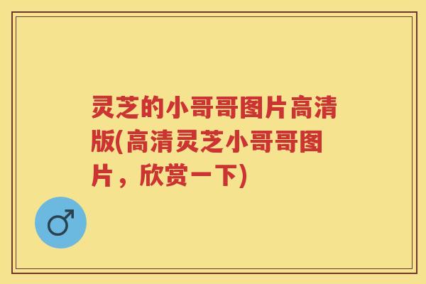 灵芝的小哥哥图片高清版(高清灵芝小哥哥图片，欣赏一下)