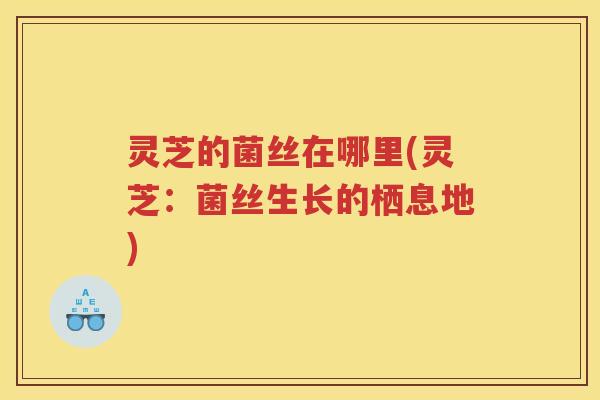 灵芝的菌丝在哪里(灵芝：菌丝生长的栖息地)