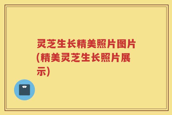 灵芝生长精美照片图片(精美灵芝生长照片展示)