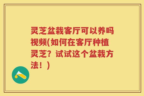 灵芝盆栽客厅可以养吗视频(如何在客厅种植灵芝？试试这个盆栽方法！)