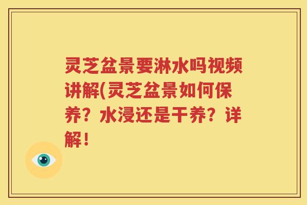 灵芝盆景要淋水吗视频讲解(灵芝盆景如何保养？水浸还是干养？详解！