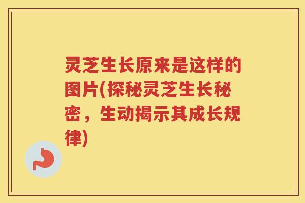 灵芝生长原来是这样的图片(探秘灵芝生长秘密，生动揭示其成长规律)