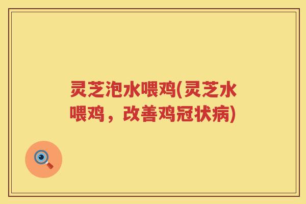 灵芝泡水喂鸡(灵芝水喂鸡，改善鸡冠状病)