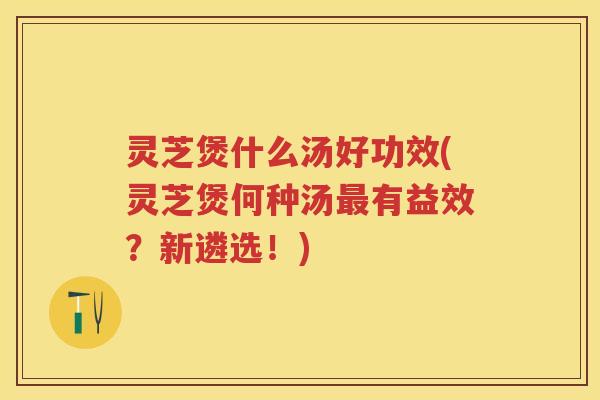 灵芝煲什么汤好功效(灵芝煲何种汤最有益效？新遴选！)