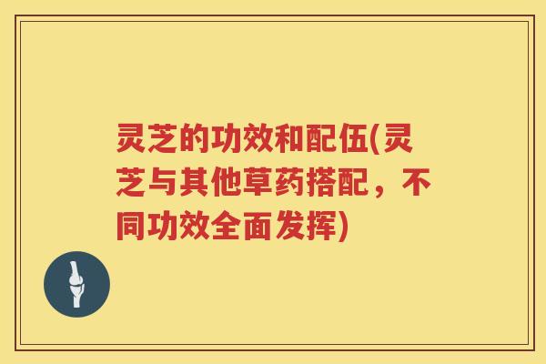 灵芝的功效和配伍(灵芝与其他草药搭配，不同功效全面发挥)