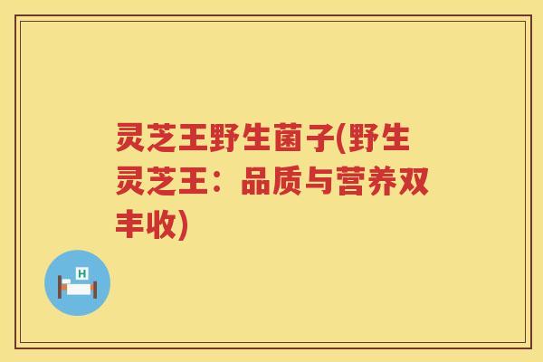 灵芝王野生菌子(野生灵芝王：品质与营养双丰收)