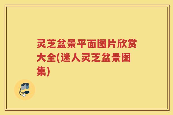 灵芝盆景平面图片欣赏大全(迷人灵芝盆景图集)