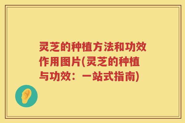 灵芝的种植方法和功效作用图片(灵芝的种植与功效：一站式指南)