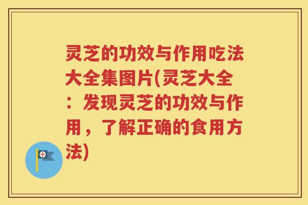 灵芝的功效与作用吃法大全集图片(灵芝大全：发现灵芝的功效与作用，了解正确的食用方法)