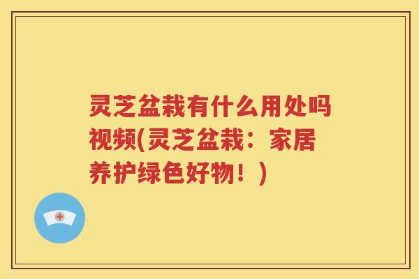灵芝盆栽有什么用处吗视频(灵芝盆栽：家居养护绿色好物！)
