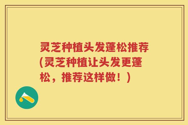 灵芝种植头发蓬松推荐(灵芝种植让头发更蓬松，推荐这样做！)