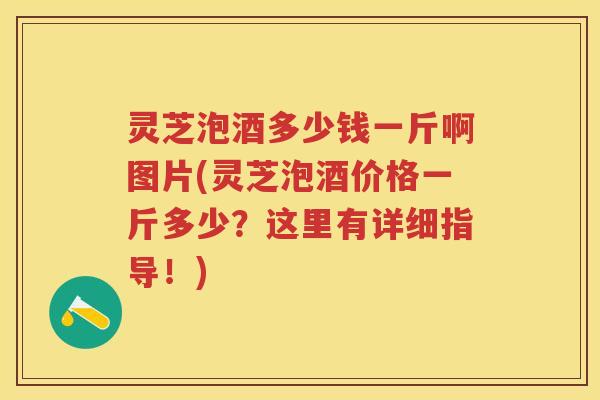 灵芝泡酒多少钱一斤啊图片(灵芝泡酒价格一斤多少？这里有详细指导！)