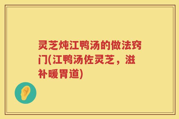 灵芝炖江鸭汤的做法窍门(江鸭汤佐灵芝，滋补暖胃道)