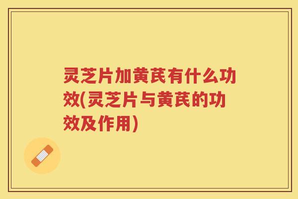 灵芝片加黄芪有什么功效(灵芝片与黄芪的功效及作用)