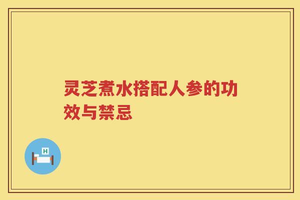 灵芝煮水搭配人参的功效与禁忌
