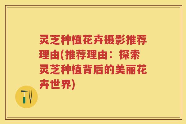 灵芝种植花卉摄影推荐理由(推荐理由：探索灵芝种植背后的美丽花卉世界)