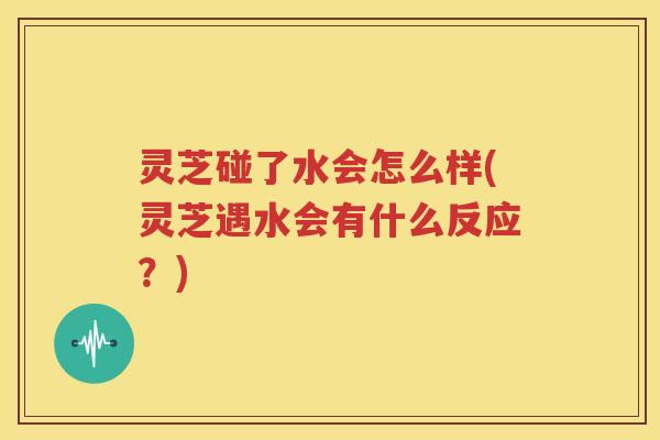 灵芝碰了水会怎么样(灵芝遇水会有什么反应?) 灵芝碰了水会怎么样(灵芝遇水会有什么反应?)