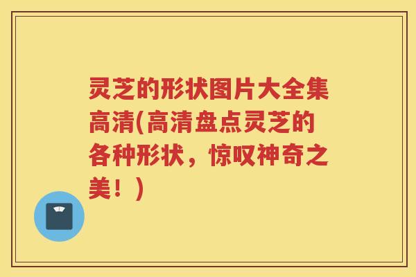 灵芝的形状图片大全集高清(高清盘点灵芝的各种形状，惊叹神奇之美！)