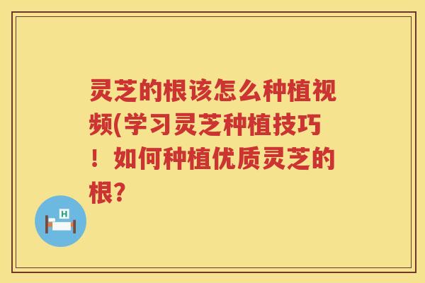灵芝的根该怎么种植视频(学习灵芝种植技巧！如何种植优质灵芝的根？