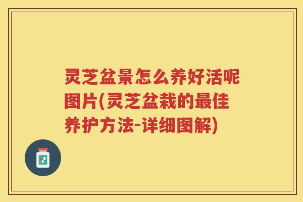 灵芝盆景怎么养好活呢图片(灵芝盆栽的最佳养护方法-详细图解)