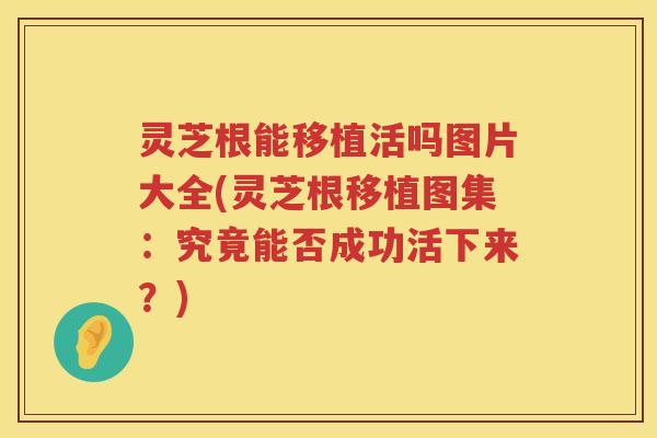 灵芝根能移植活吗图片大全(灵芝根移植图集:究竟能否成功活下来?) 灵芝根能移植活吗图片大全(灵芝根移植图集:究竟能否成功活下来?)