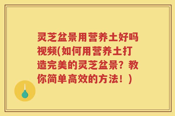 灵芝盆景用营养土好吗视频(如何用营养土打造完美的灵芝盆景？教你简单高效的方法！)